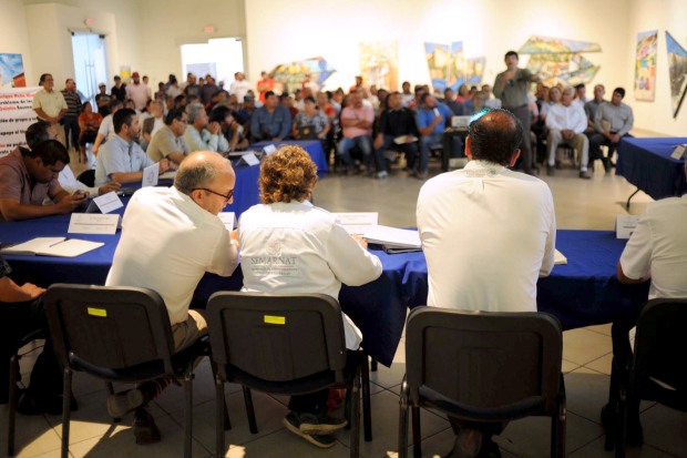 Mesa tecnica sobre veda almeja pismo