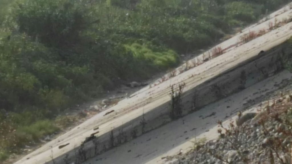 Hallan cadáver en la canalización Semanario ZETA