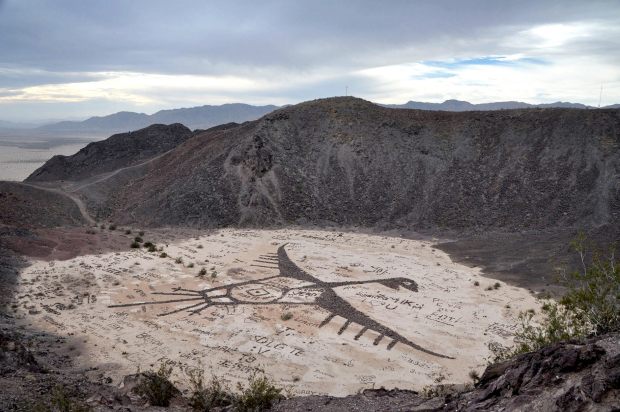 vista del zopilote de cerro prieto