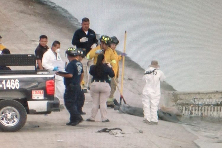 Zeta Reportan 10 Asesinatos En Las últimas Horas En Tijuana