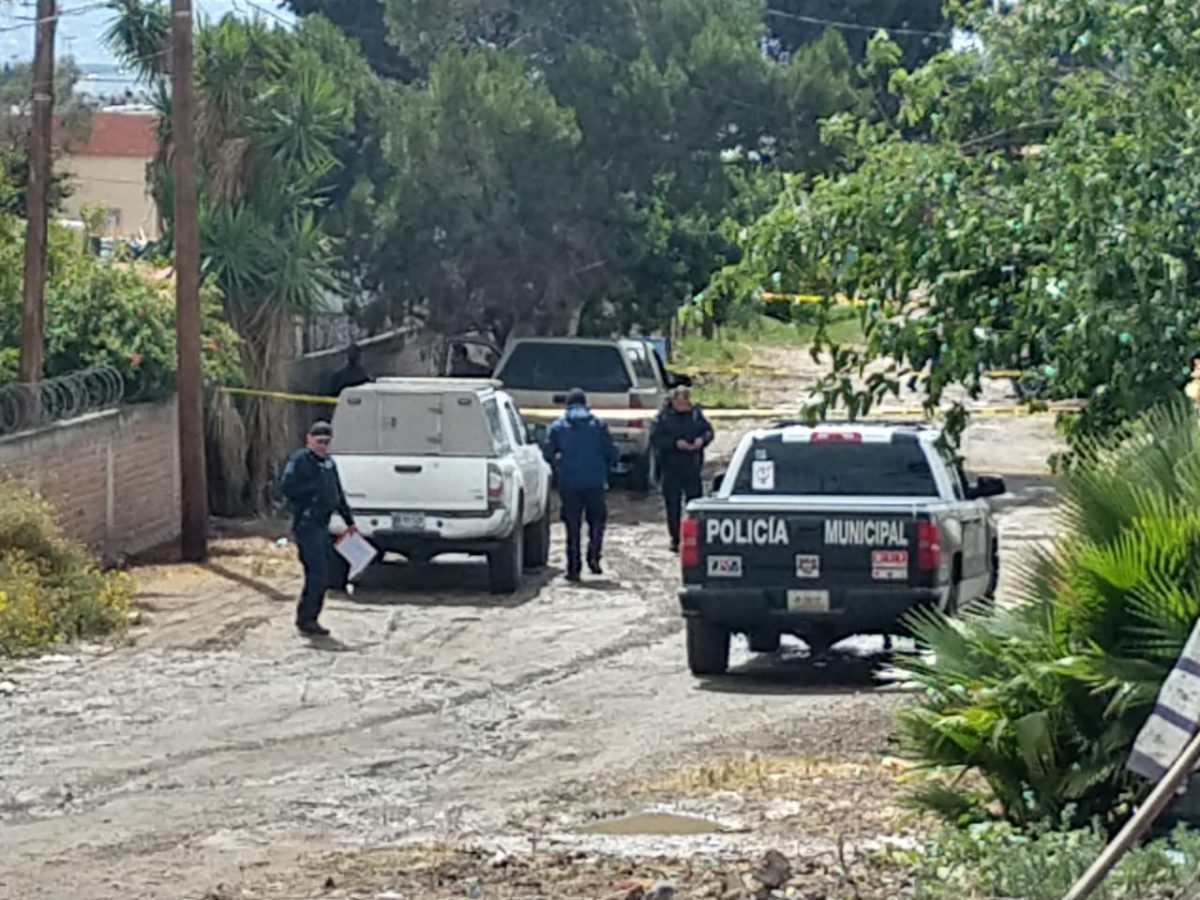 Reportan Siete Crímenes Más En Tijuana; Van 814 Homicidios En 2019 ...