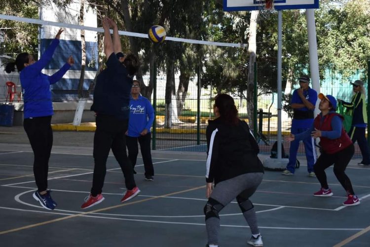 ZETA – Imdet ofrecerá clase virtual de Cachibol - Vimarsana News