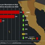 WhatsApp Image 2020-12-31 at 12.28.46 PM