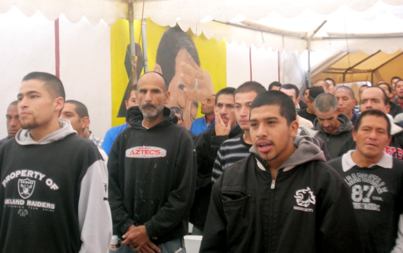 crreadelcampito2.jpg