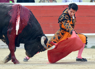 ¡Qué ganado!