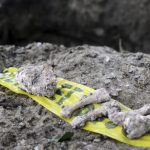 narcofosasveracruz6b.jpg
