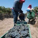 valledeguadalupe-ab-1.jpg