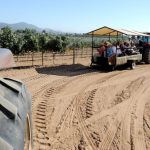 valledeguadalupe-eb.jpg