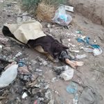 WhatsApp Image 2021-02-19 at 3.19.51 PM