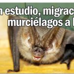 En estudio