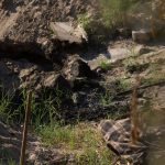 WhatsApp Image 2021-07-01 at 6.45.38 PM