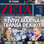 ZCOVER_2511A