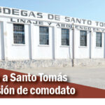 santo tomas