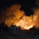 Screenshot_20220221-195513_WhatsApp~2