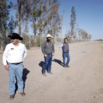 ganadera mexicali de los gratiani