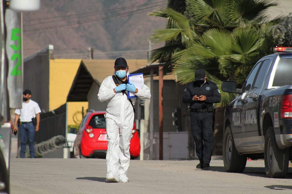 Cinco Asesinatos En 16 Horas En Tijuana - Semanario ZETA