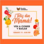 ZETA DIG MONARCA DIA DE LAS MADRES 2022 265X265