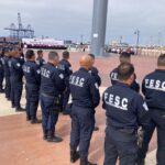 FESC ELEMENTOS