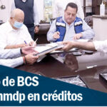 creditos BCS
