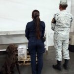 FOTO 277 GN (1)