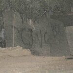 IMG-20220802-WA0010