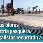 contaminantes