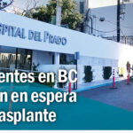 transplante