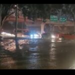 Screenshot_20221108-205823_WhatsApp~2