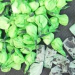 WhatsApp Image 2022-11-23 at 2.16.25 PM