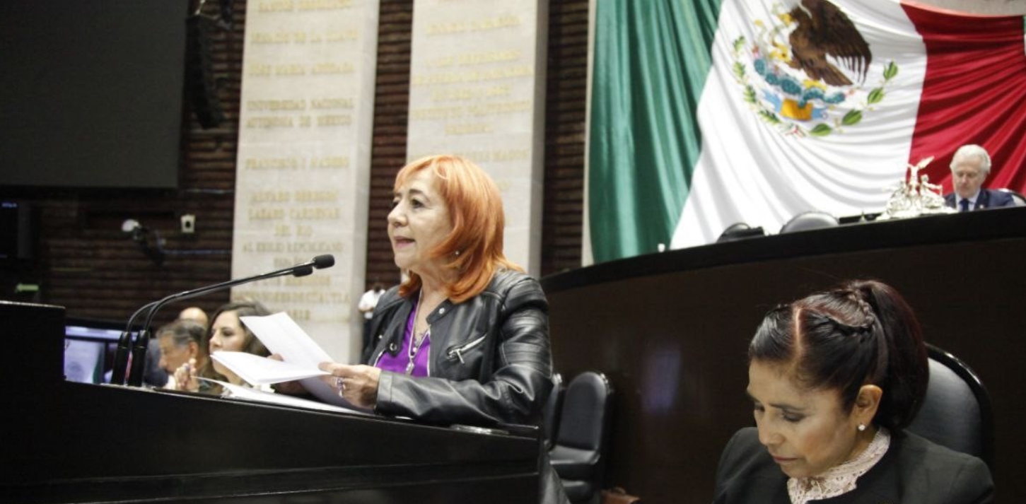 Rosario Piedra Entrega A Diputados Iniciativa Para Convertir La Cndh En “defensoría Del Pueblo 8752