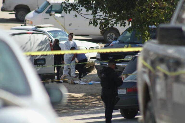 Cinco Asesinatos En Tijuana Durante El Sábado; Un Caso De Restos ...