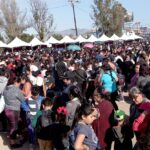 WhatsApp Image 2023-05-09 at 5.46.15 PM