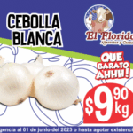 ZETA 300 X 250 V 26 MAYO