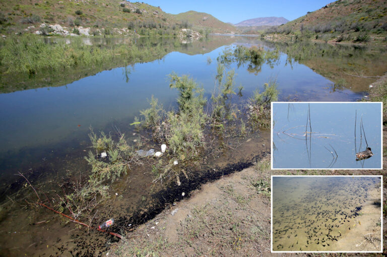 Falta de agua por contaminación mortal - Semanario ZETA