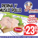 ZETA 300 X 250 V2 (SEM 26)