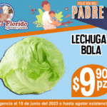 florido 300 X 250 vig 09-15 junio