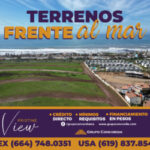 Banner Zeta_300X250px-03