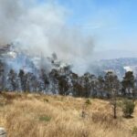 WhatsApp Image 2023-07-16 at 1.57.32 PM