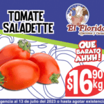 ZETA 300 X 250 V07-13 JULIO