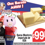 CHEF 300 X 250 VIG 04 AGOSTO (1)