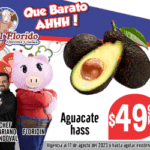 CHEF 300 X 250 vig 11-17 agosto