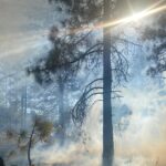 WhatsApp Image 2023-08-04 at 11.11.54 PM