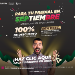 BANNER – 300x250px-01 (4)