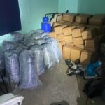 droga ensenada