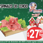 VIG 01-07 DICIEMBRE 300X250