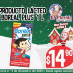 VIG 08-14 DIC 300X250