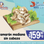 VIG 16-22 FEBRERO 300X250