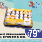 ZETA 300X250 VIG 22-28 MARZO