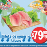 FLORIDO 300X250 VIG 30 AG-05SEP