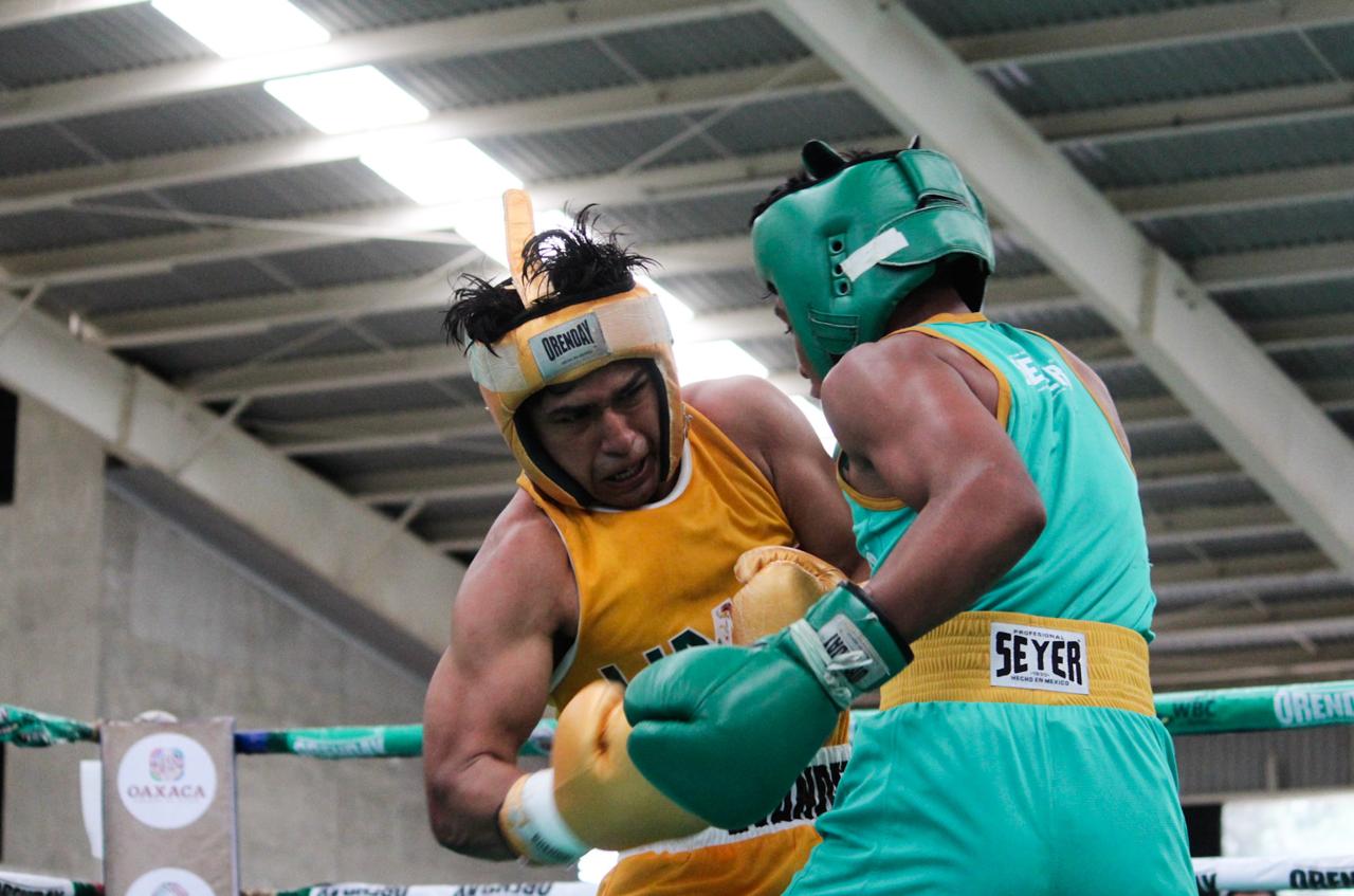 Cosecha medallas Baja California en Boxeo de Juegos Nacionales ...